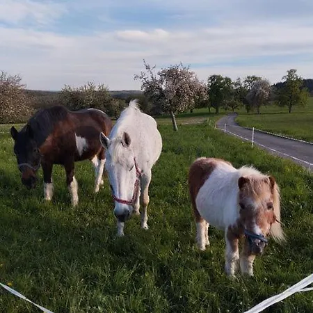 Zur Schoenen Aussicht Buchen (Odenwald, Baden-Wurttemberg)